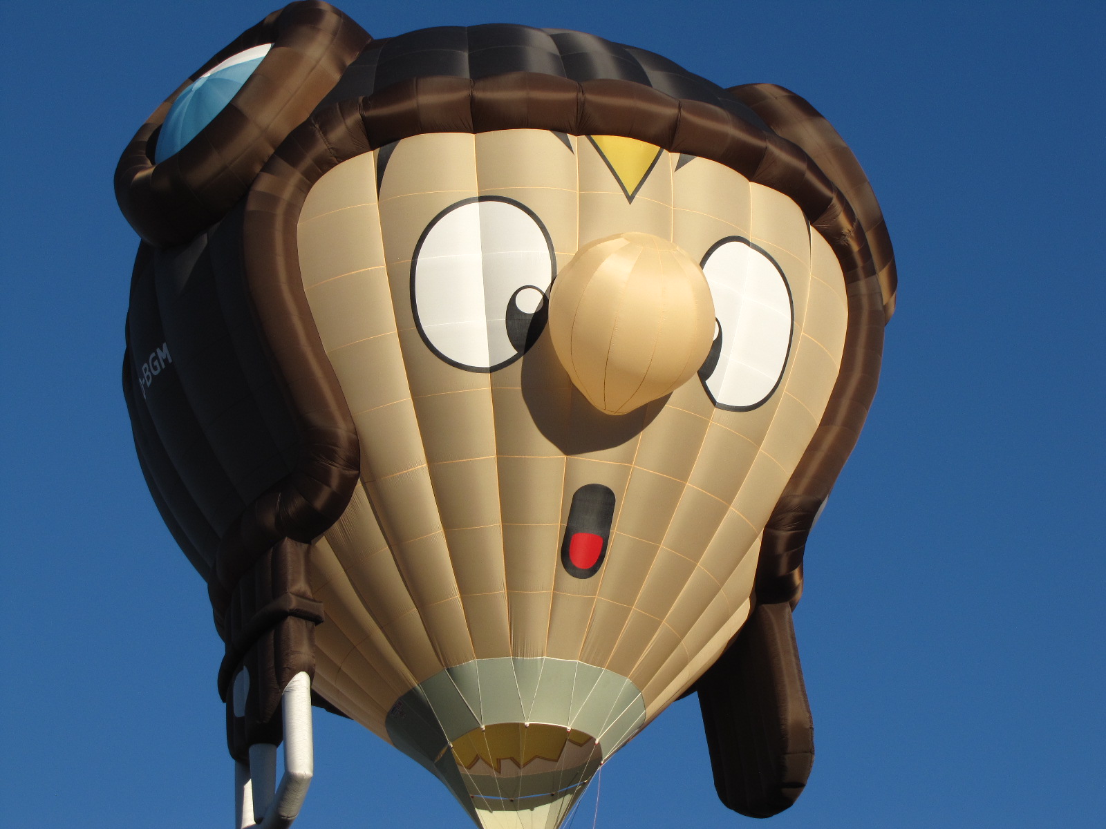 Balloon+Fiesta+Brings+the+World+to+Albuquerque