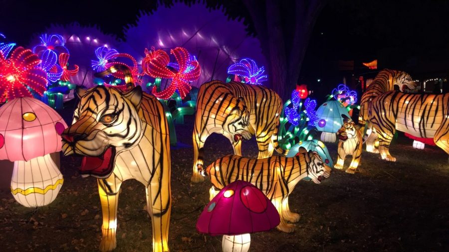 Culture and Artistry at the Chinese Lantern Festival