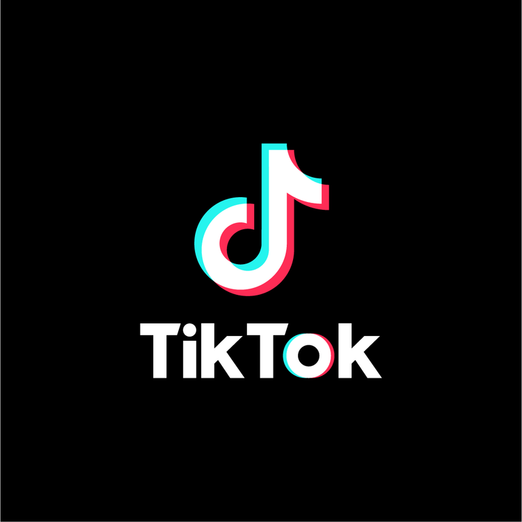 TikTok%E2%80%99s+Influence+on+the+2020+Election