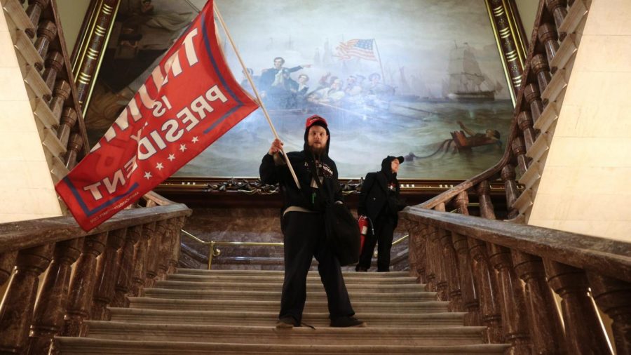 Protestor on the steps of the Capitol. Photo by Win McNamee/Getty Images