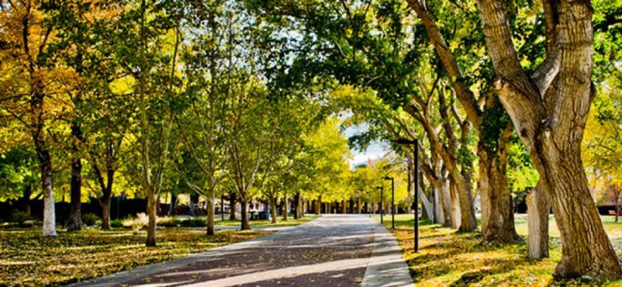 Overview - Albuquerque Academy