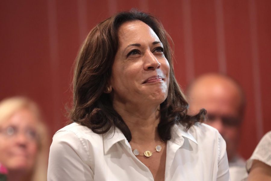 Vice-Prsident Kamala Harris made a major foreign policy trip to shore up US relations in Asia.