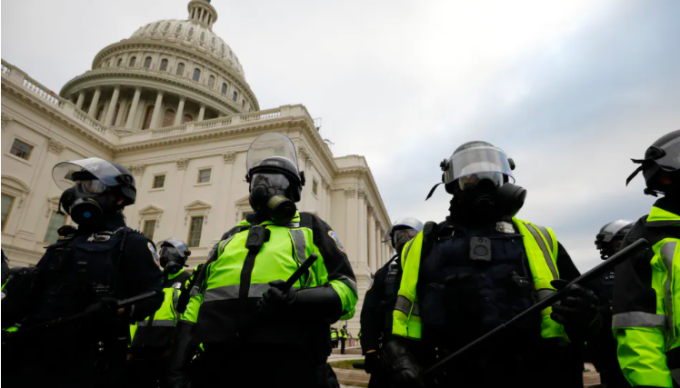 Right-Wing Protest at the Capitol