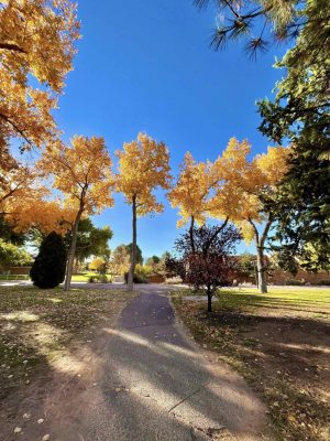 Between the science building and the west campus.