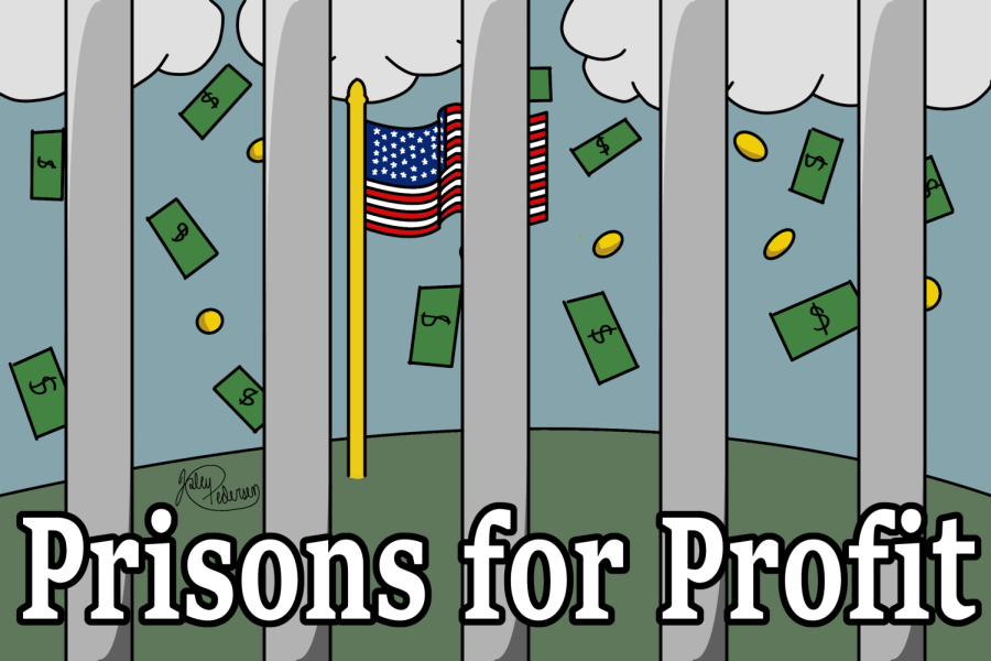 Prisons for Profit