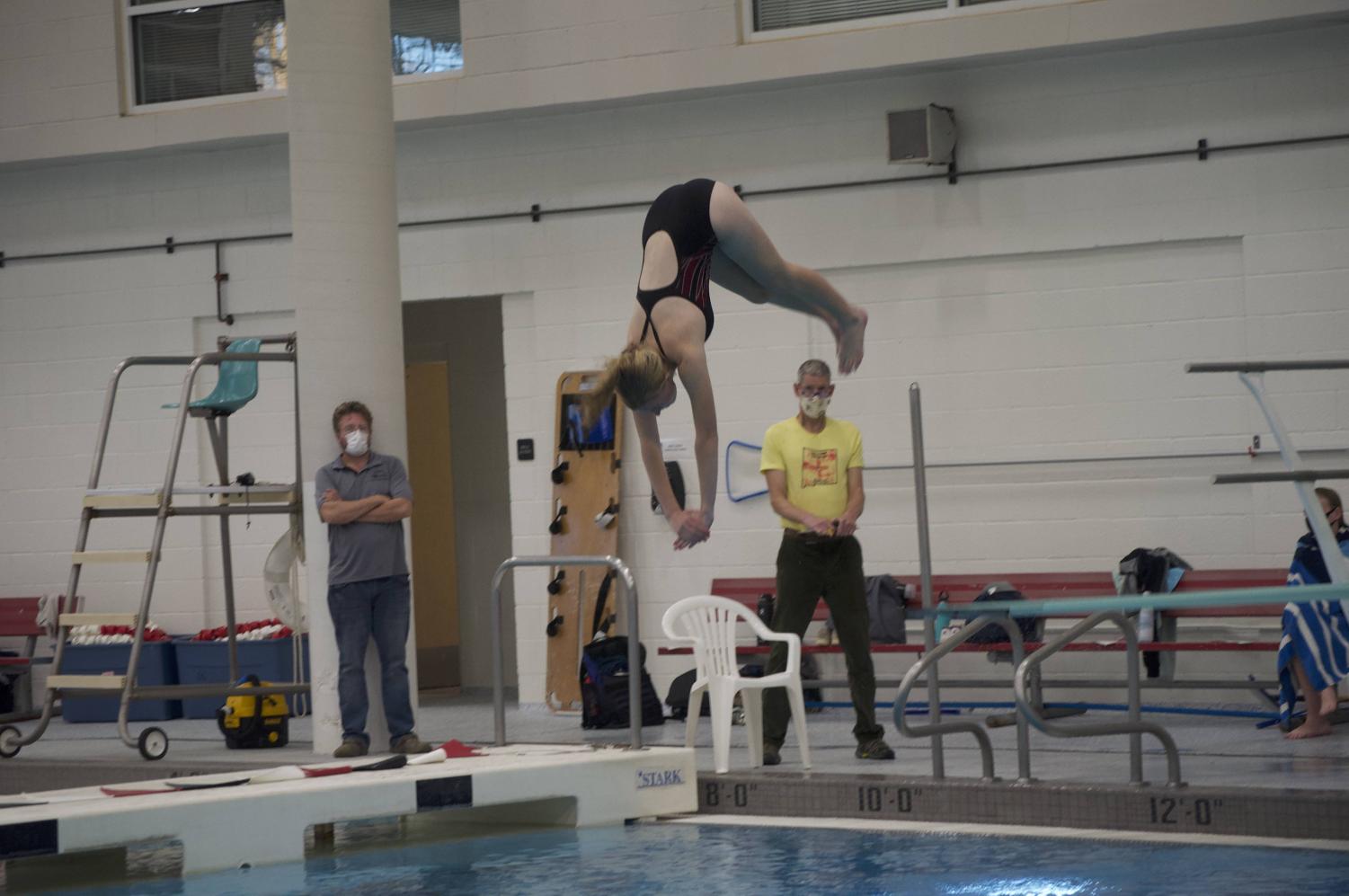 Divers+fly+high%3A+A+photo+Gallery