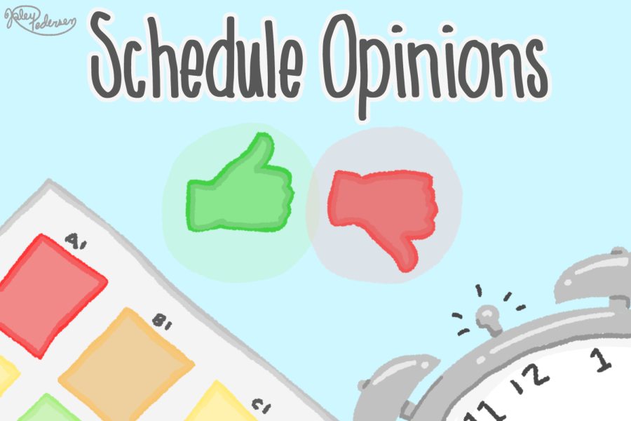 Schedule Opinions