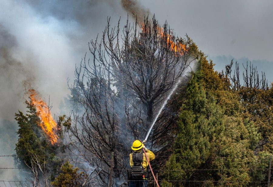 Firefighters battle the blaze near Las Vegas, Courtesy of AP.