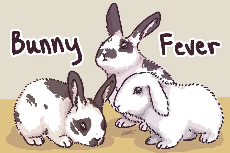 bunny fever