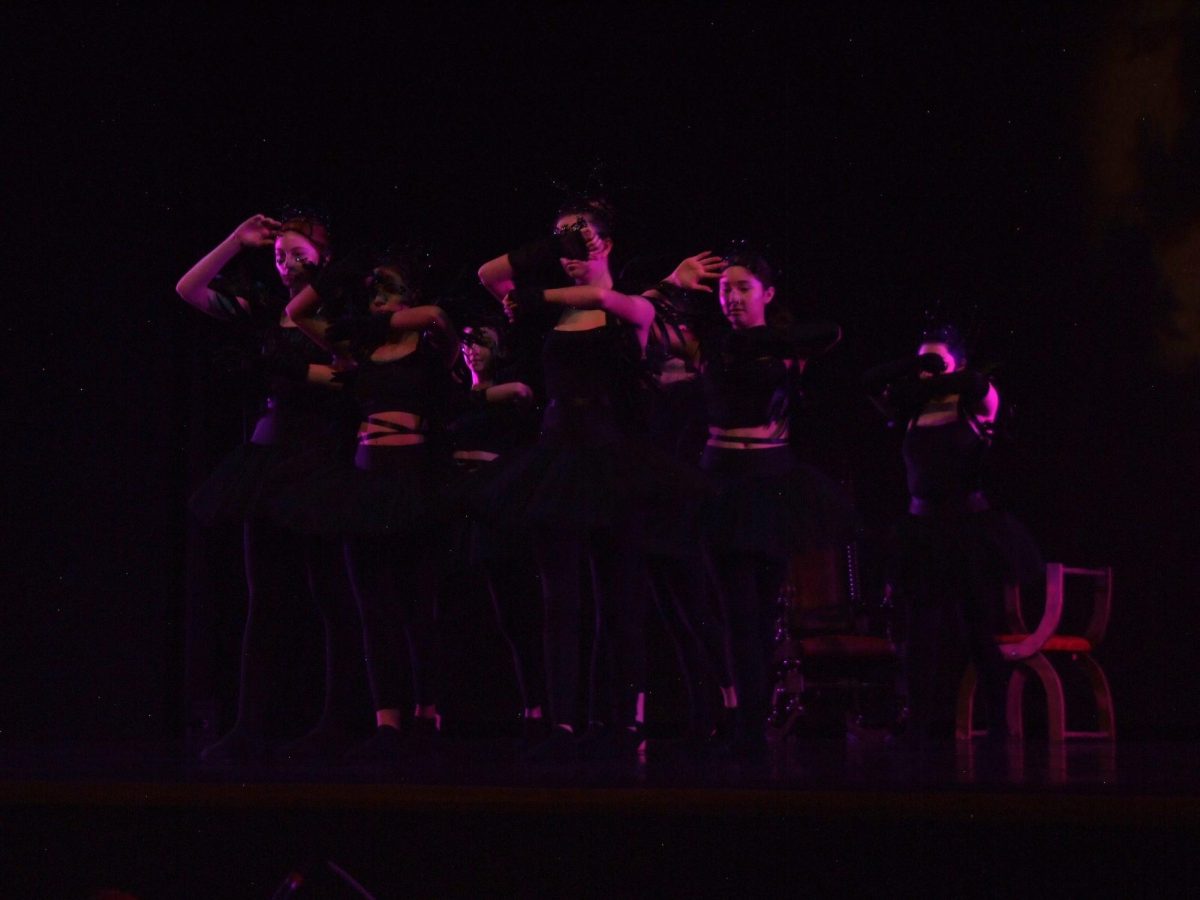 Dancers in last year's performance.