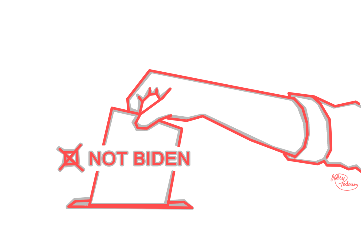 Why+Im+Not+Voting+for+Biden