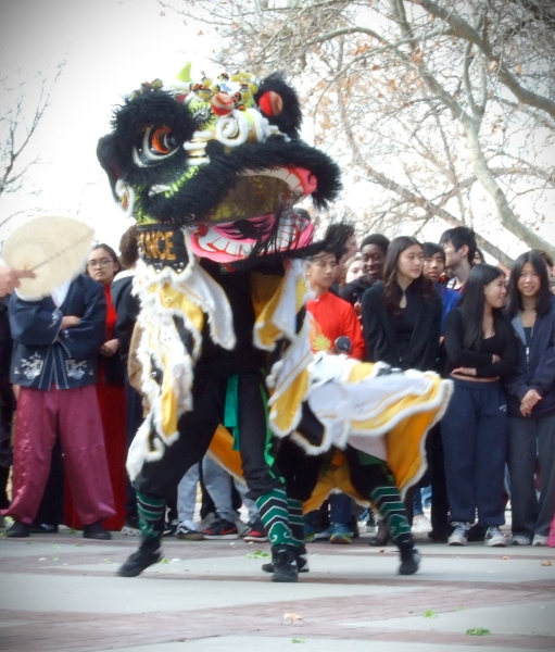 The lion poses for a headshot at this years Lunar New Year parade.