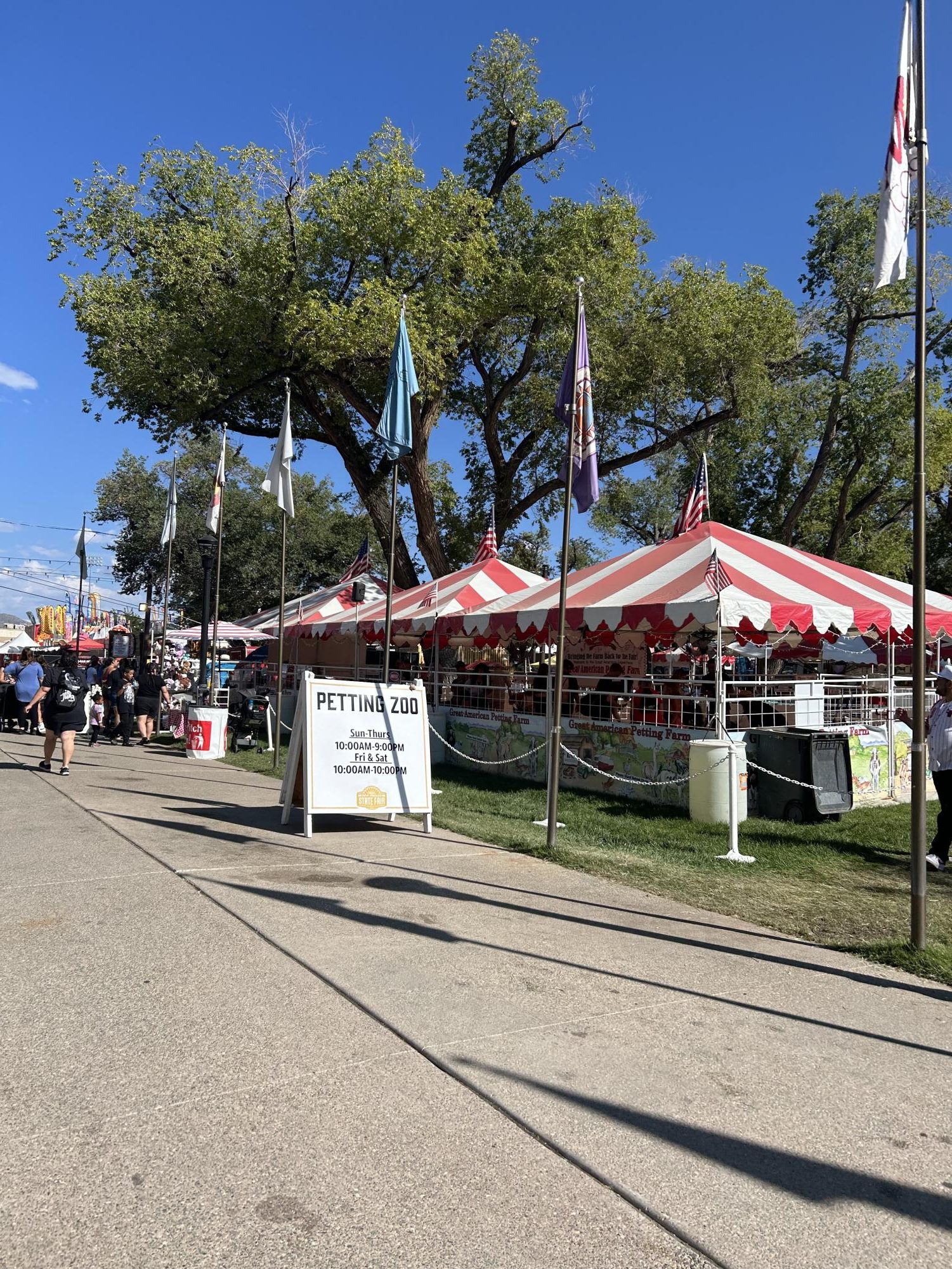 Anna's Day at the Fair