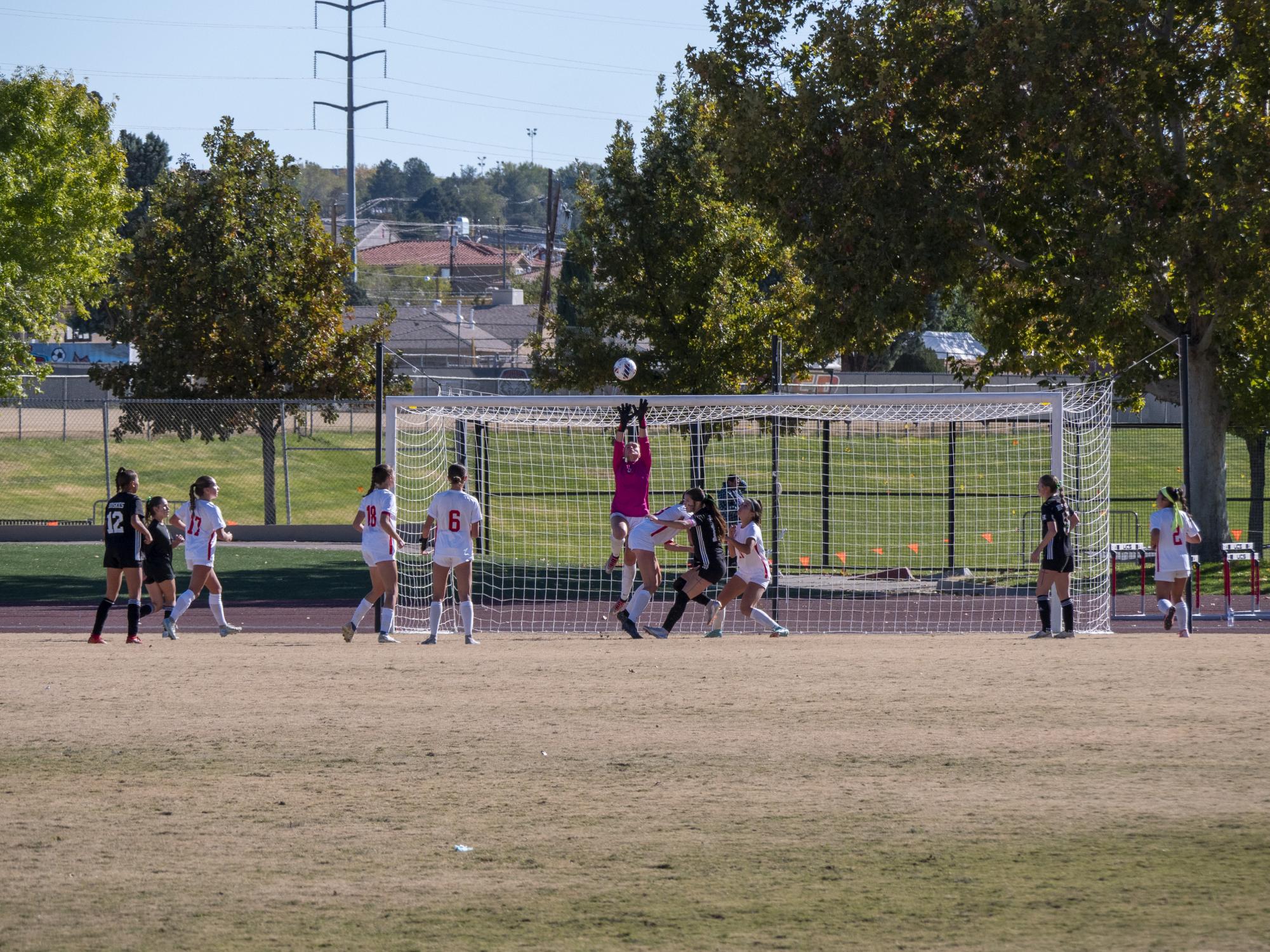 A Stellar Season: Girls Varsity Soccer Team Takes Second in State Final Run