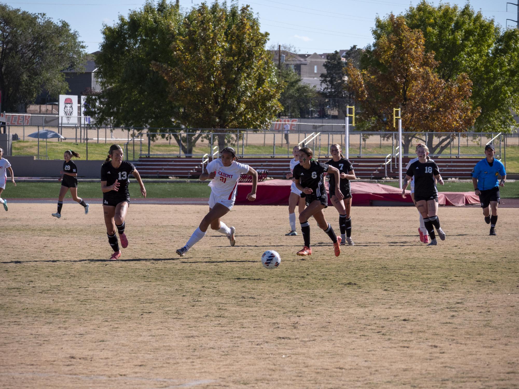 A Stellar Season: Girls Varsity Soccer Team Takes Second in State Final Run