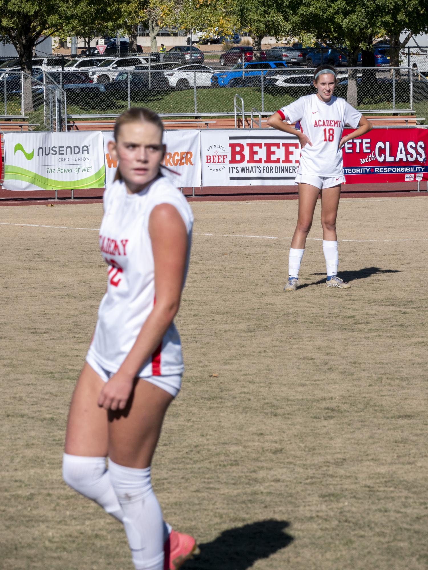 A Stellar Season: Girls Varsity Soccer Team Takes Second in State Final Run