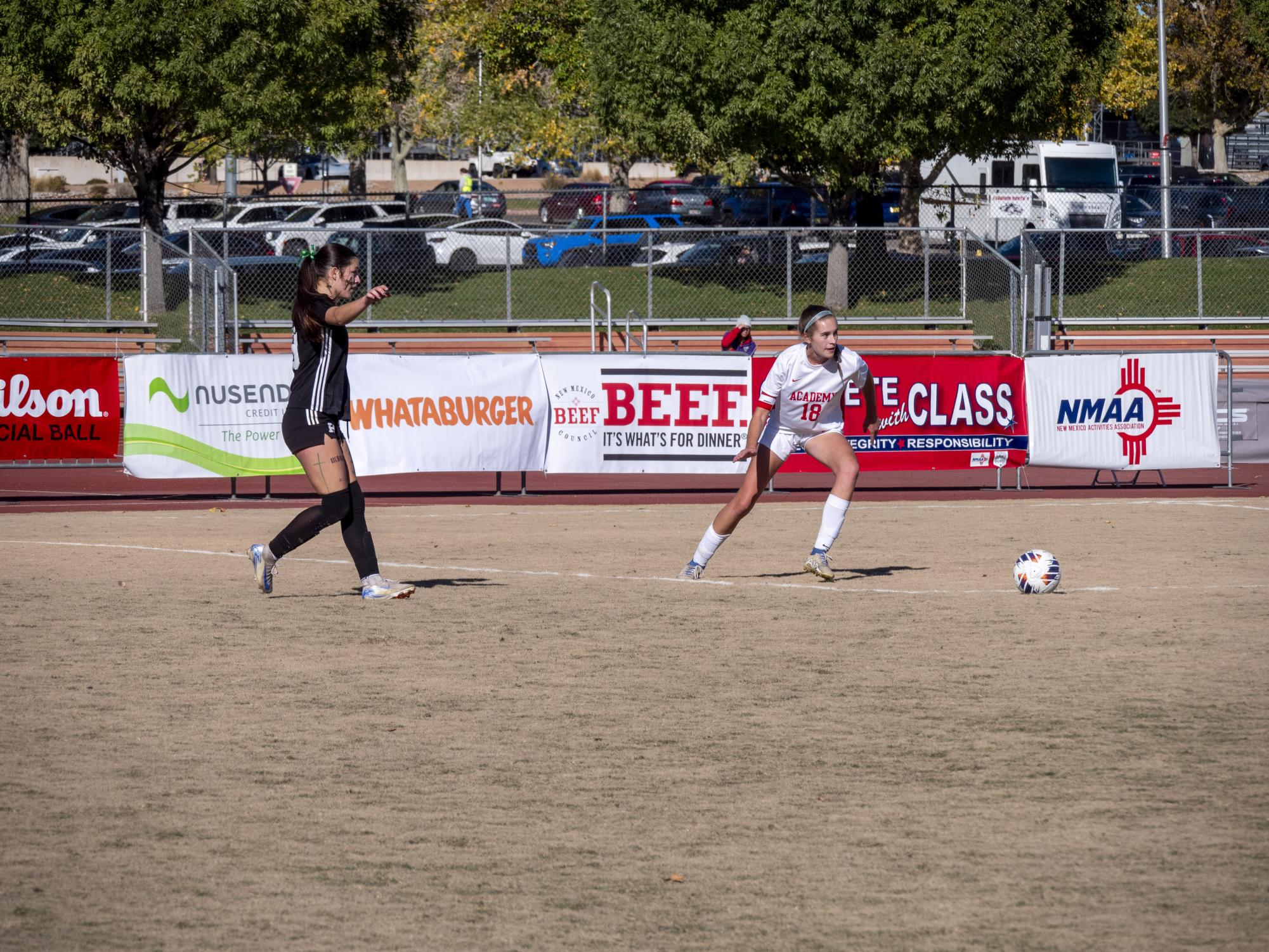 A Stellar Season: Girls Varsity Soccer Team Takes Second in State Final Run