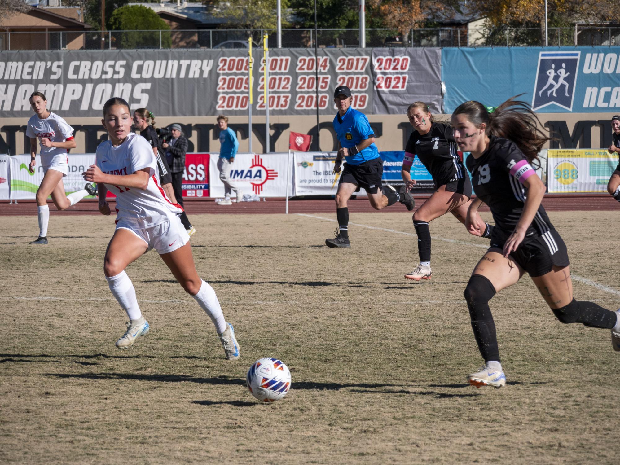 A Stellar Season: Girls Varsity Soccer Team Takes Second in State Final Run