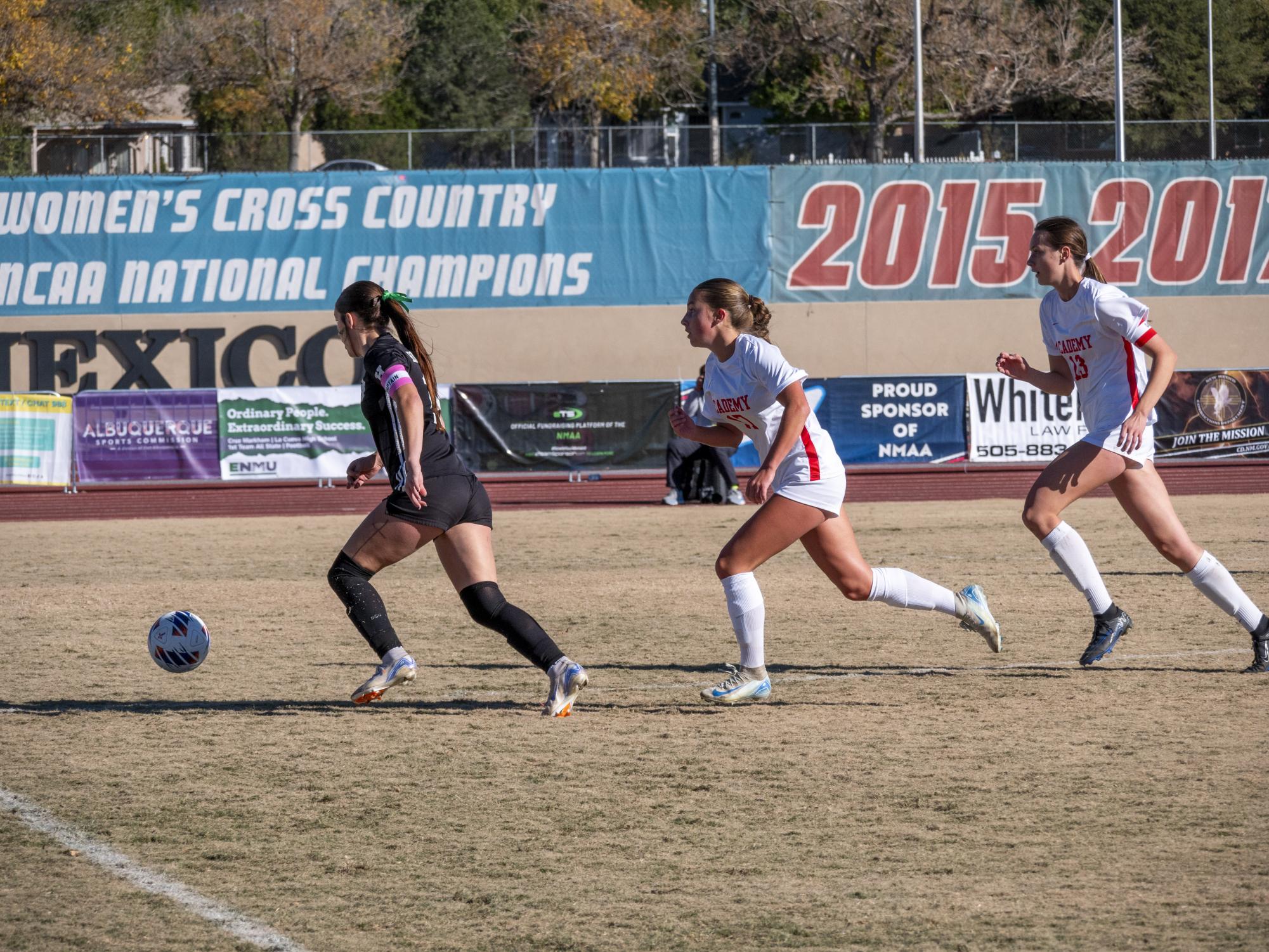 A Stellar Season: Girls Varsity Soccer Team Takes Second in State Final Run