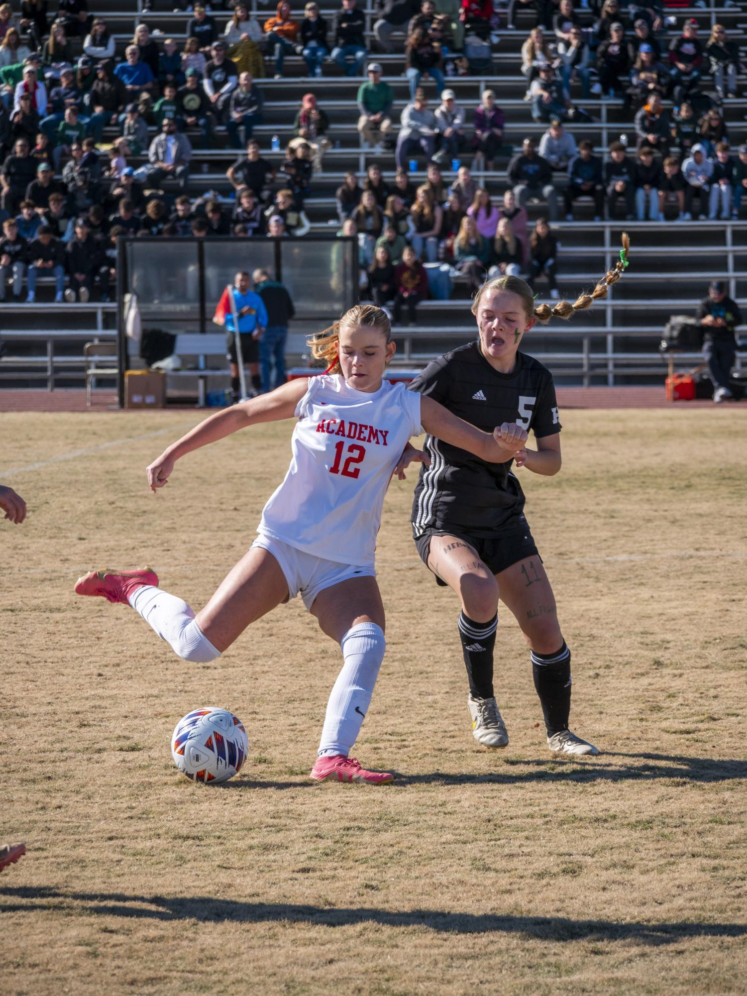 A Stellar Season: Girls Varsity Soccer Team Takes Second in State Final Run