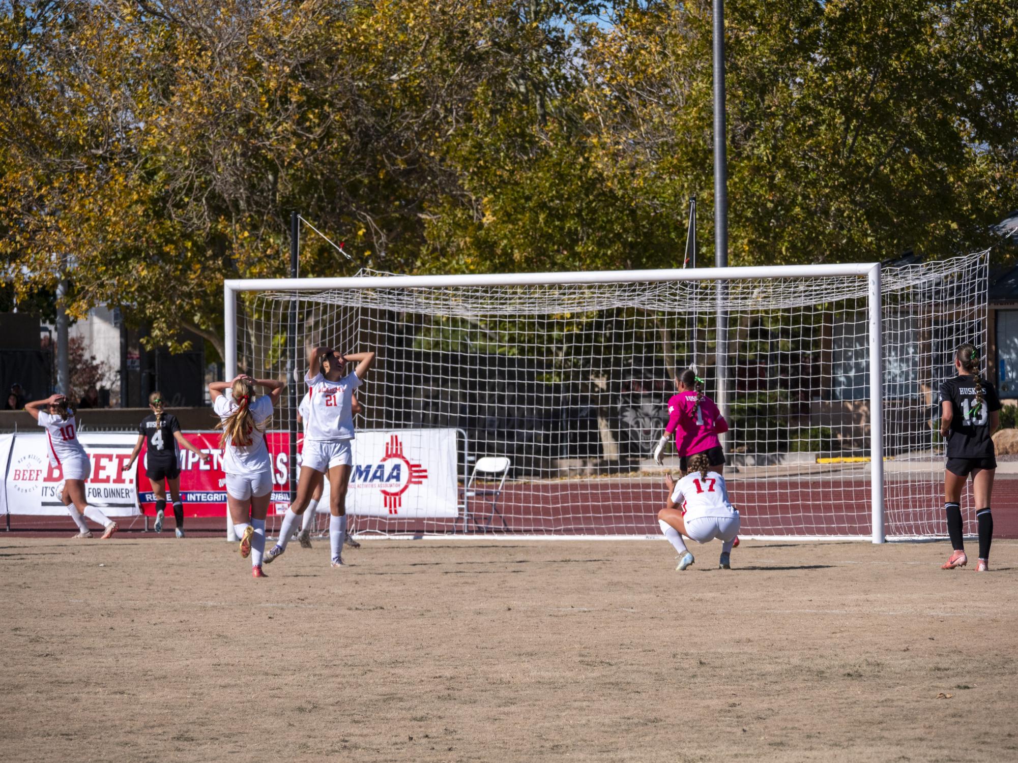 A Stellar Season: Girls Varsity Soccer Team Takes Second in State Final Run