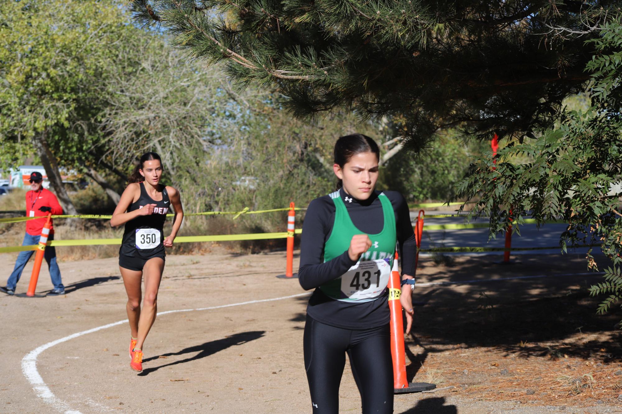 Chargers Win Cross Country State