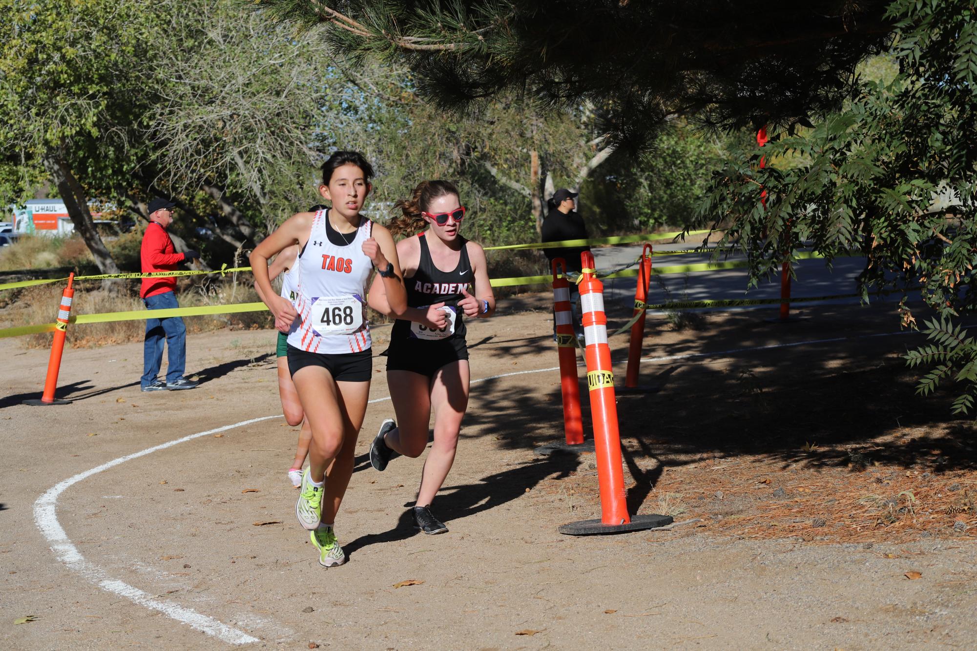 Chargers Win Cross Country State