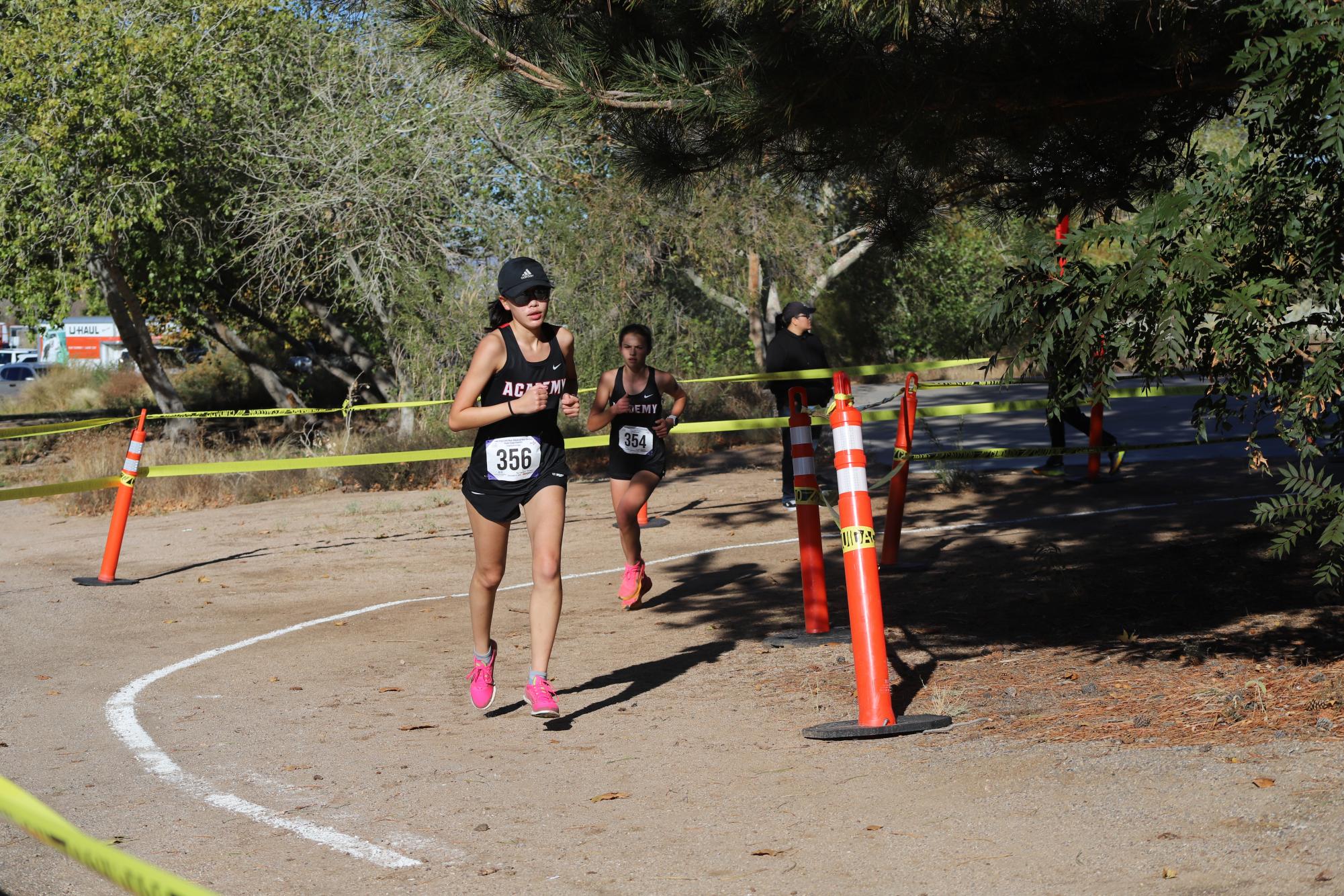 Chargers Win Cross Country State