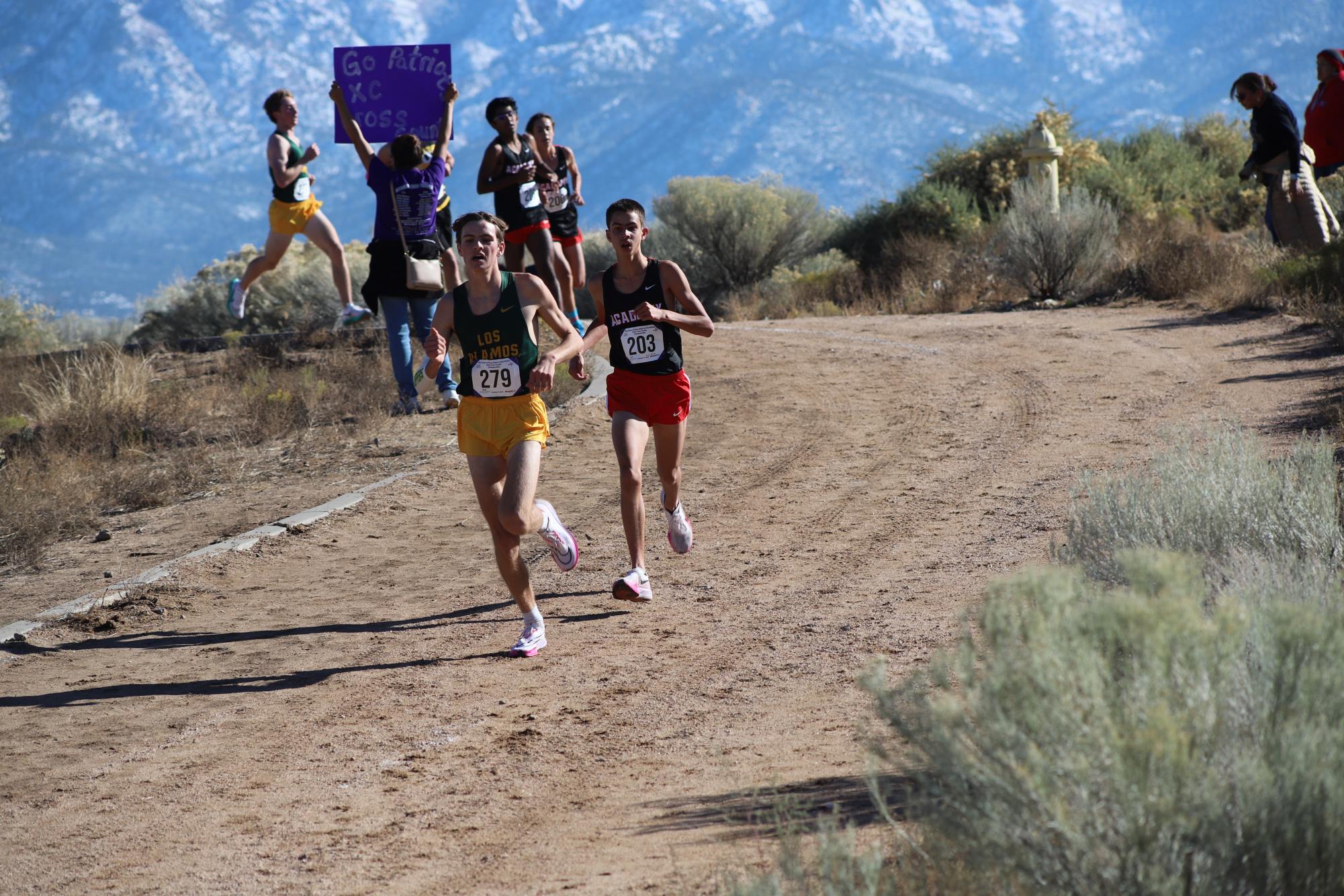 Chargers Win Cross Country State