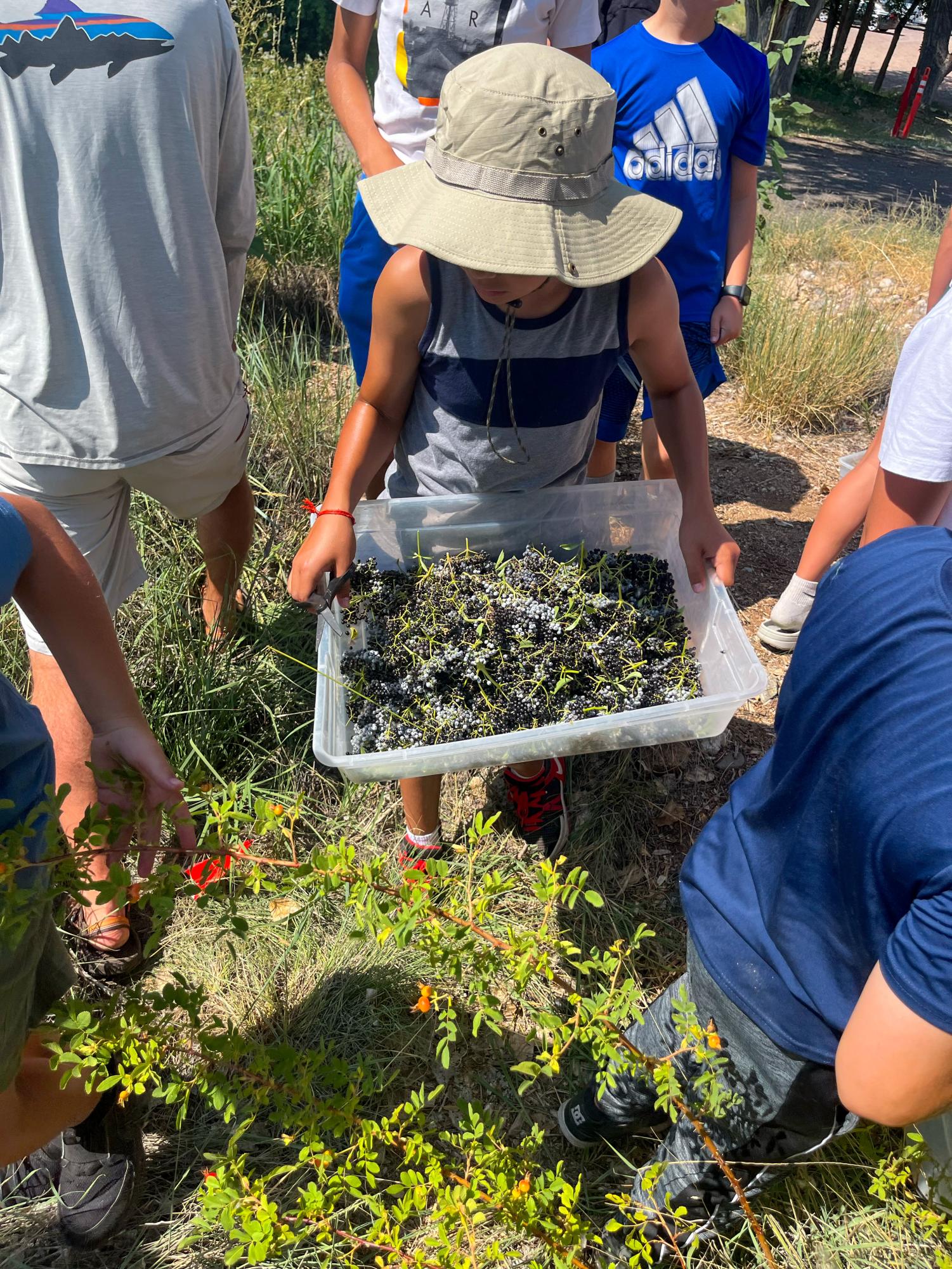 Desert Oasis Teaching Garden, the Hidden Gem of Academy