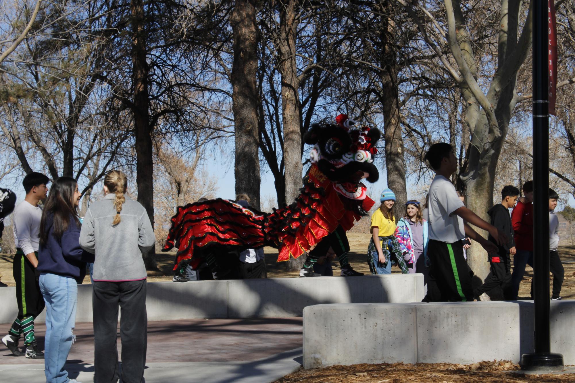 Lunar New Year Parade Gallery: The Sequel