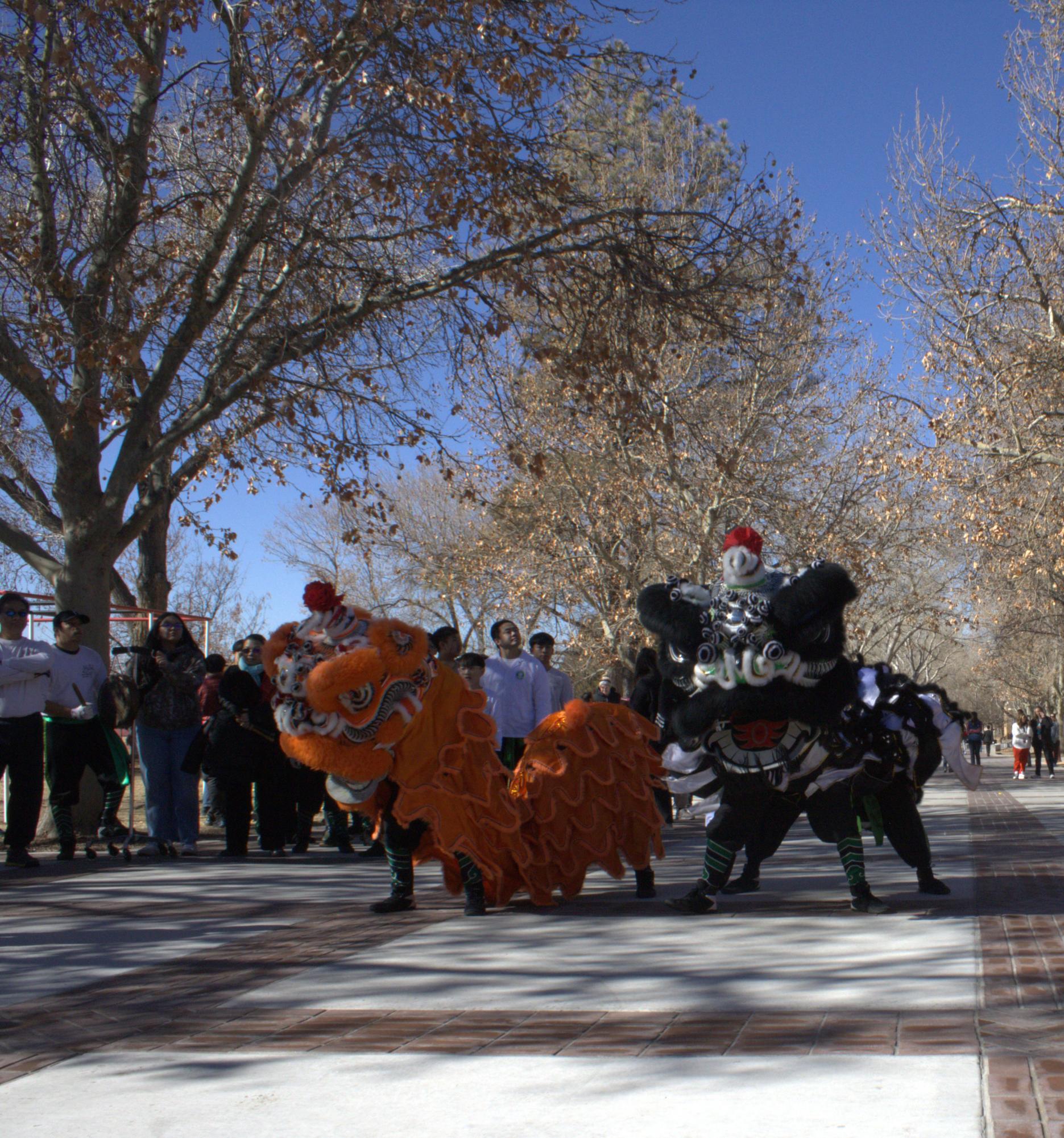 Lunar New Year Parade Gallery: The Sequel