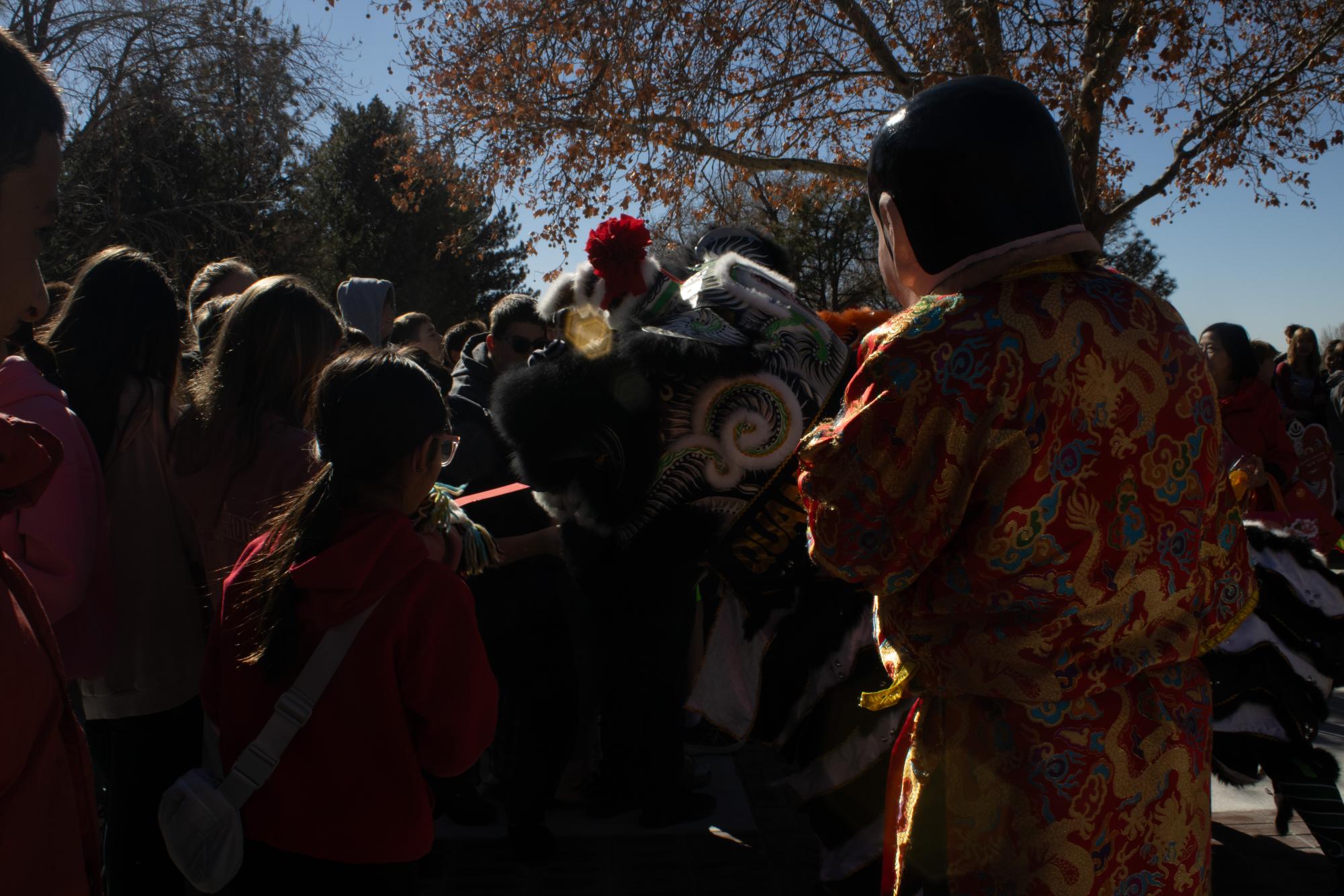 Lunar New Year Parade Gallery: The Sequel