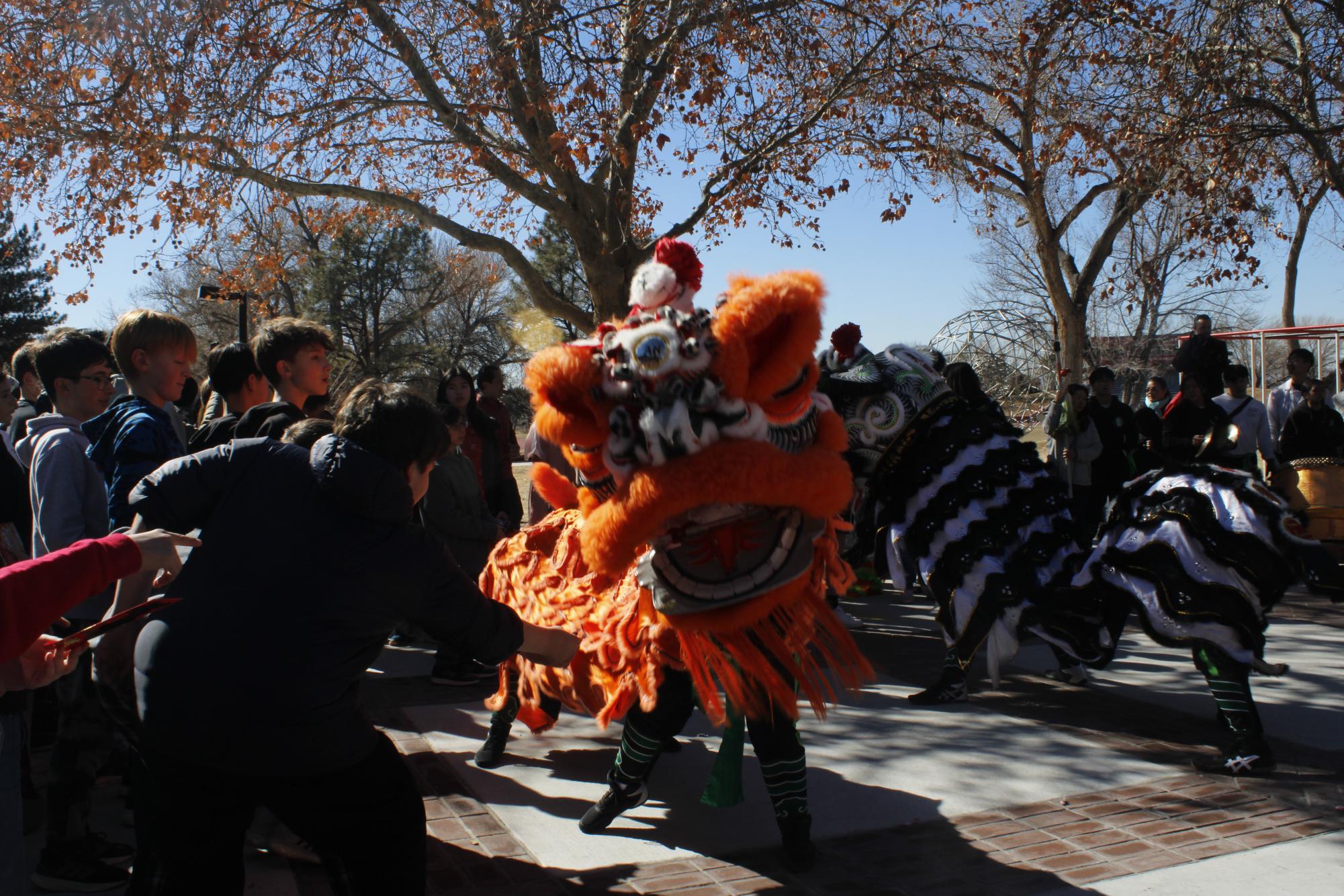 Lunar New Year Parade Gallery: The Sequel