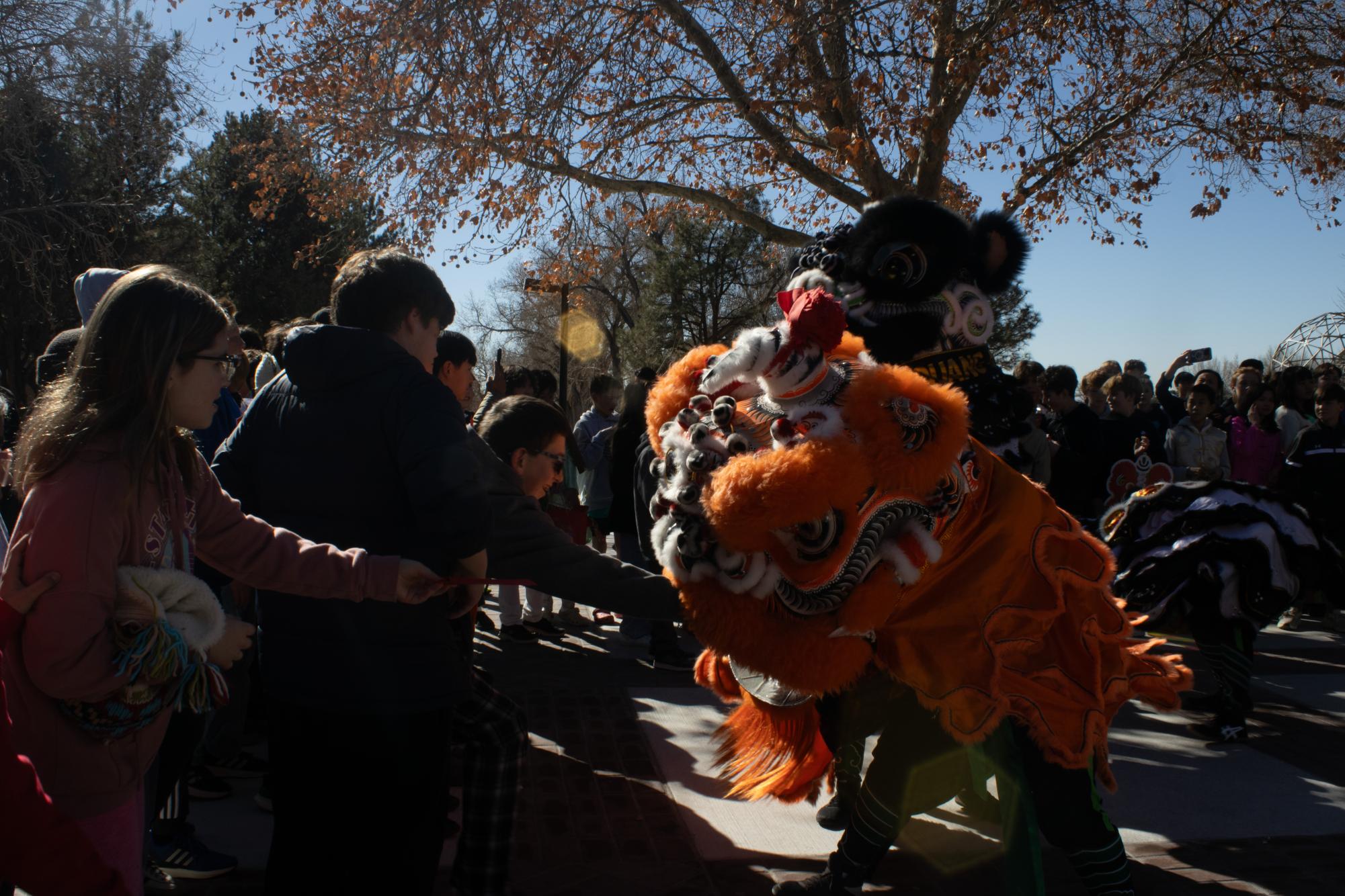 Lunar New Year Parade Gallery: The Sequel