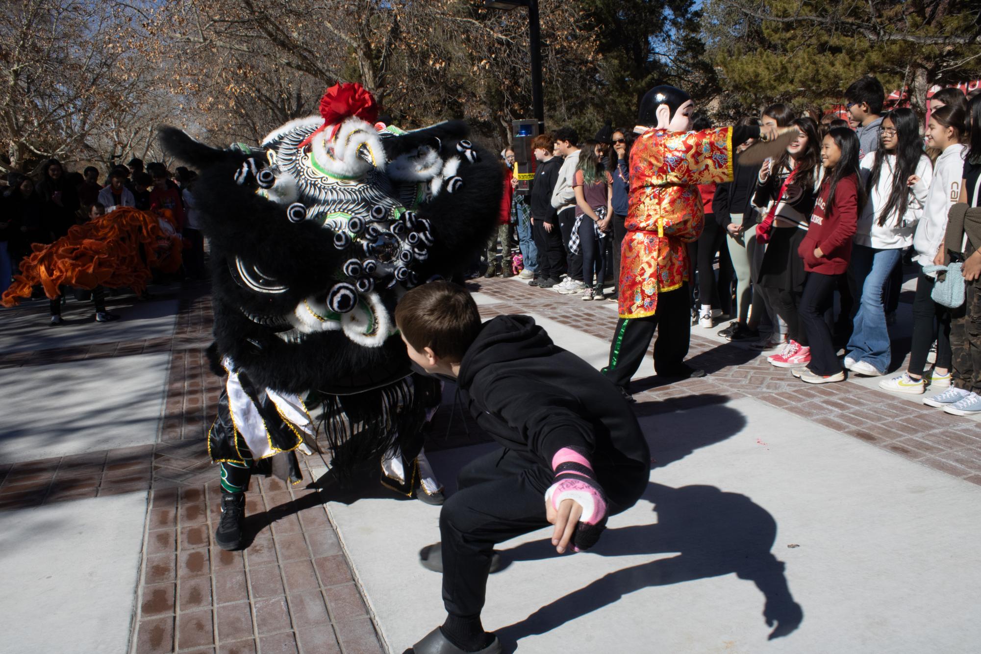 Lunar New Year Parade Gallery: The Sequel