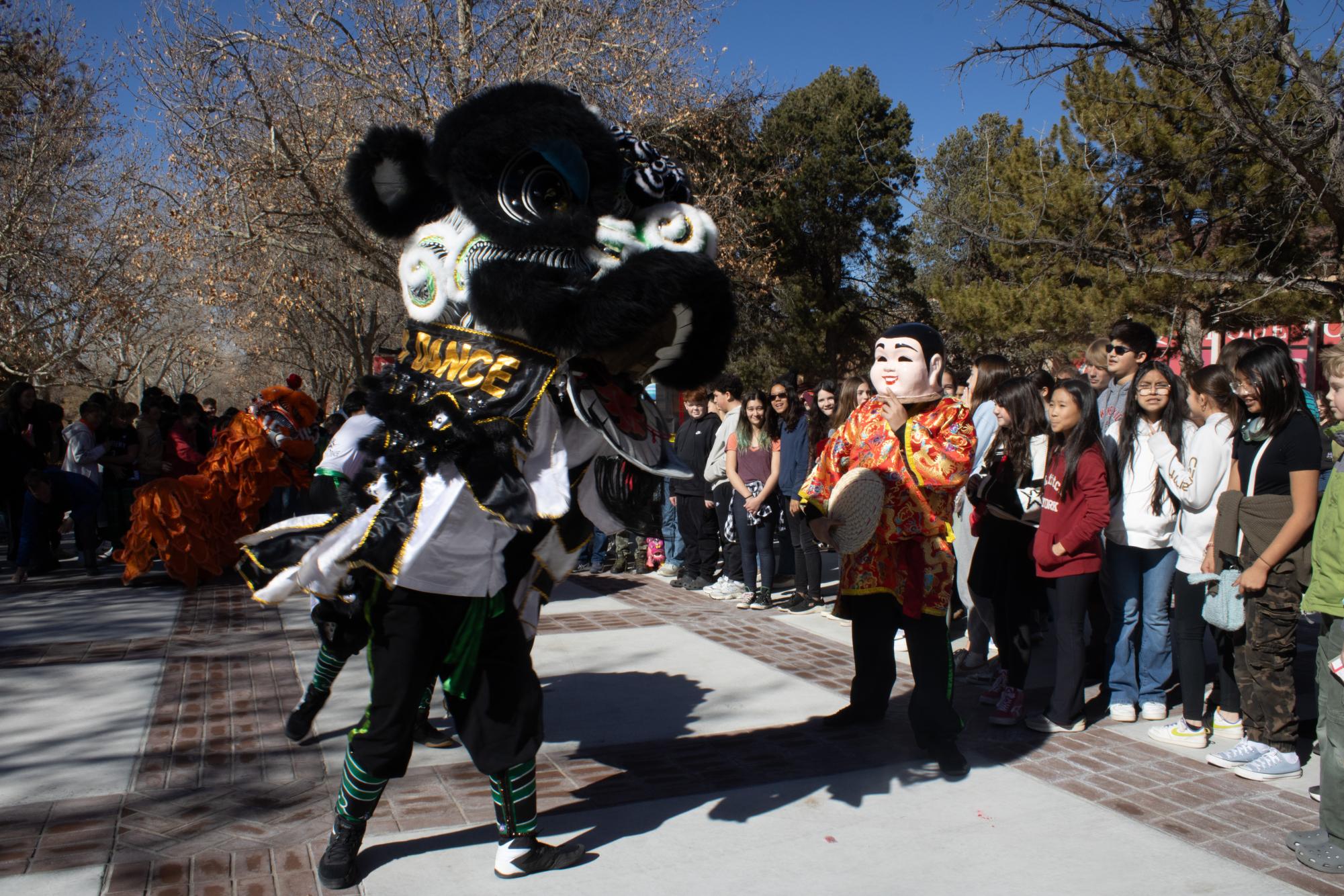 Lunar New Year Parade Gallery: The Sequel