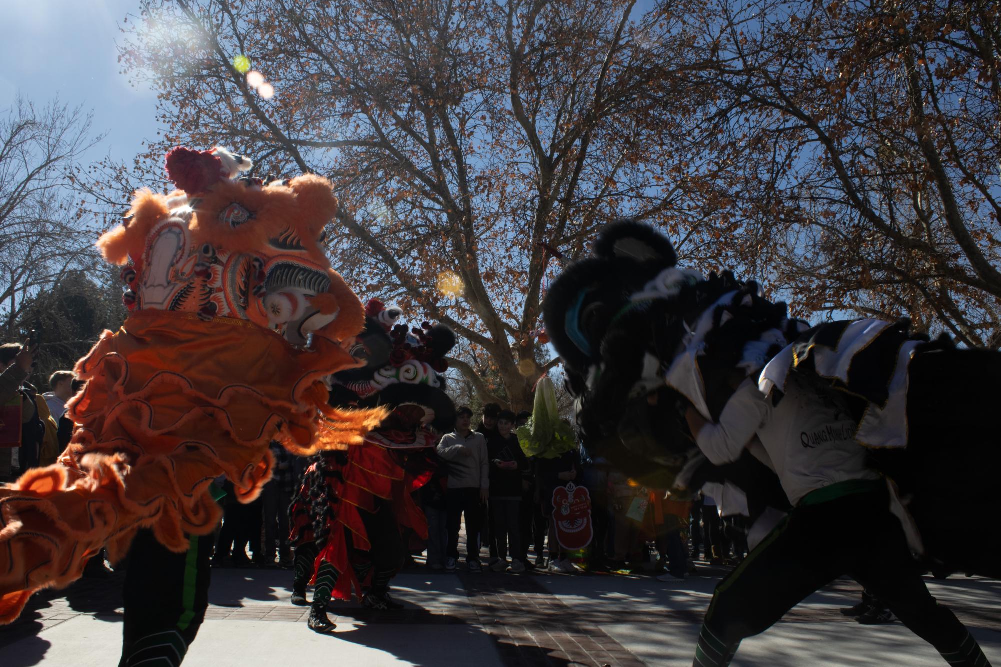 Lunar New Year Parade Gallery: The Sequel