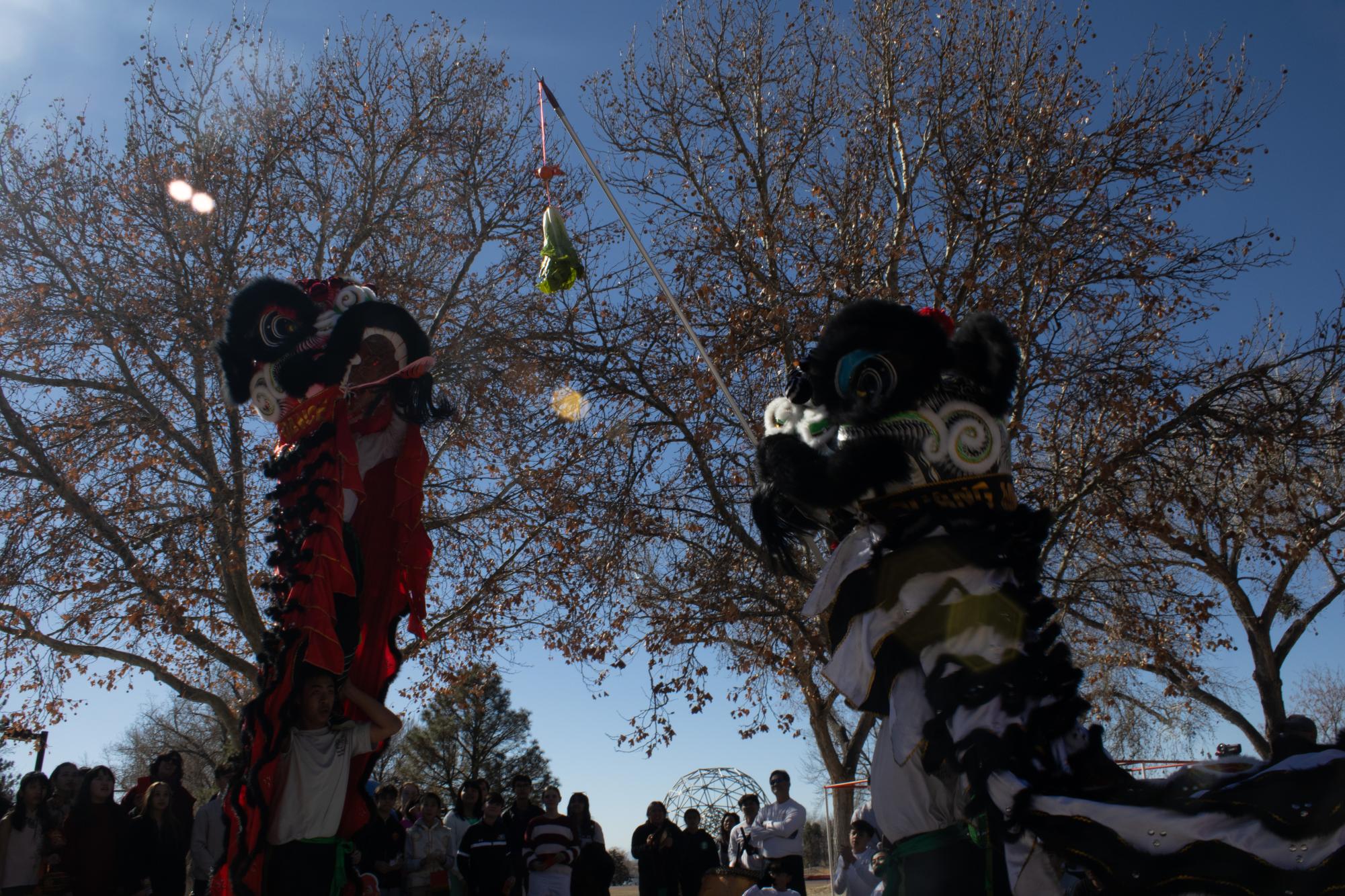 Lunar New Year Parade Gallery: The Sequel