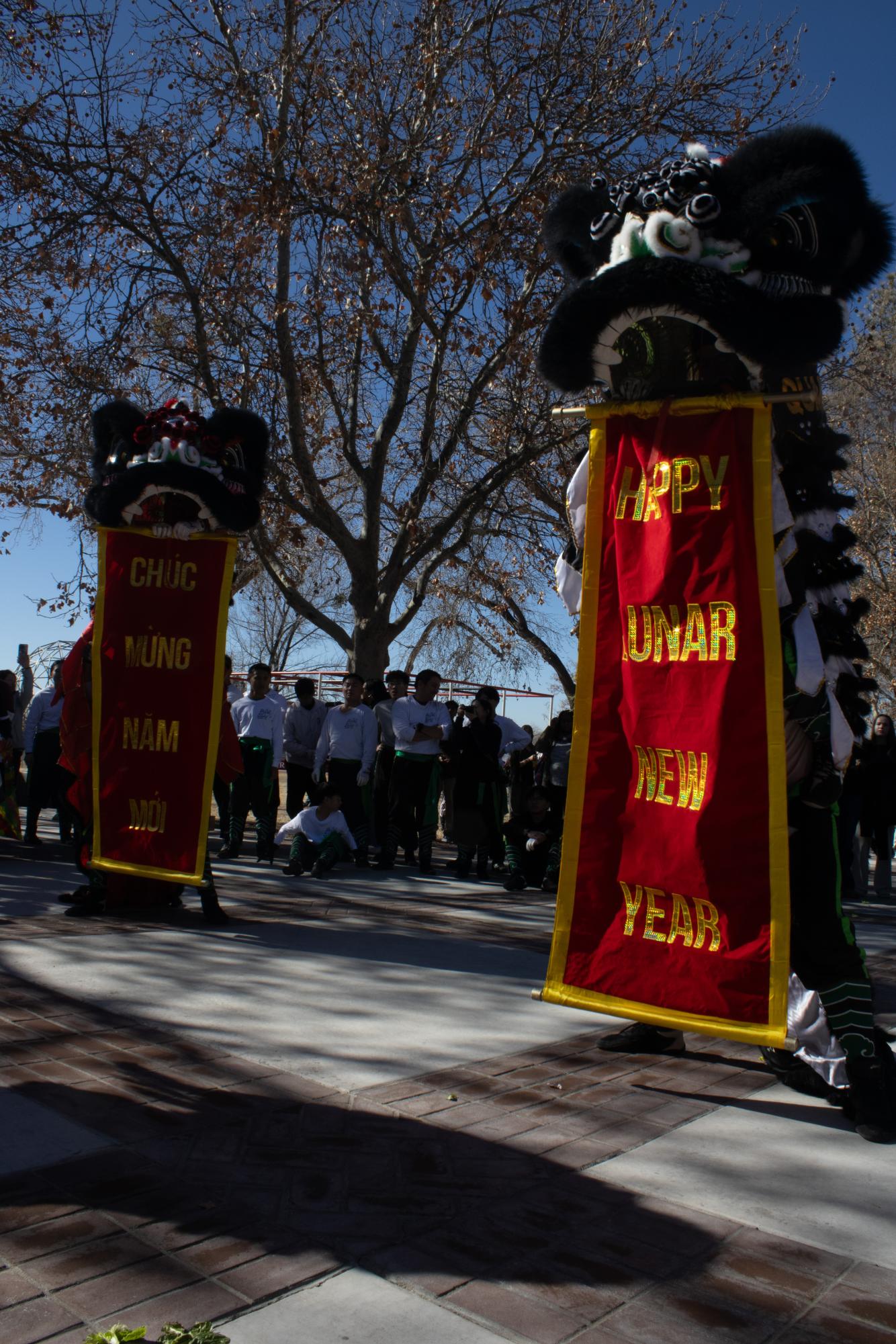 Lunar New Year Parade Gallery: The Sequel