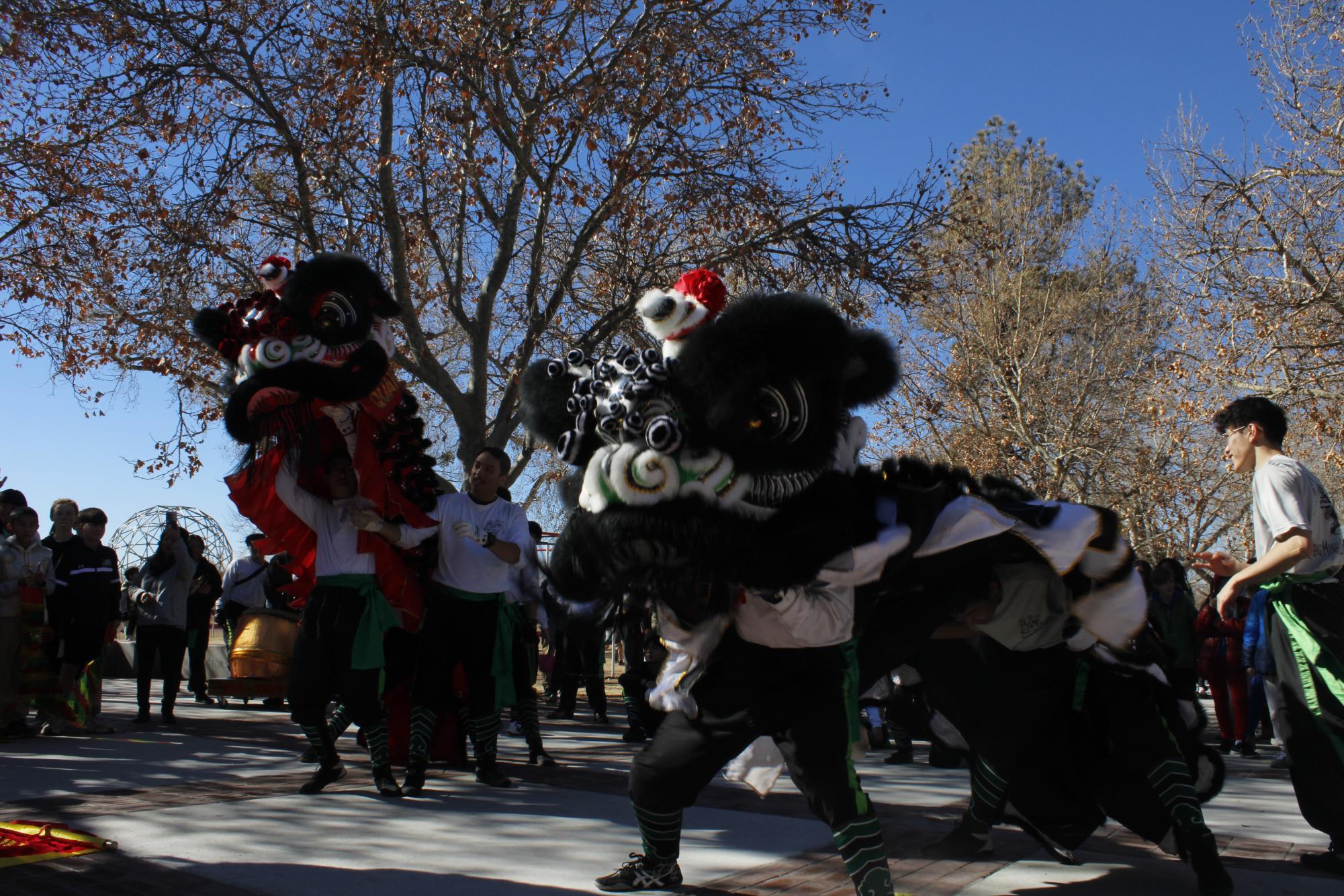 Lunar New Year Parade Gallery: The Sequel