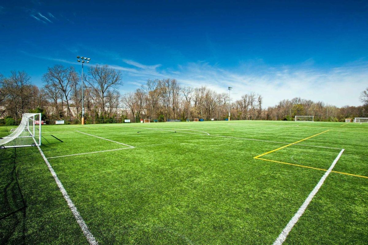 Turf vs. Grass