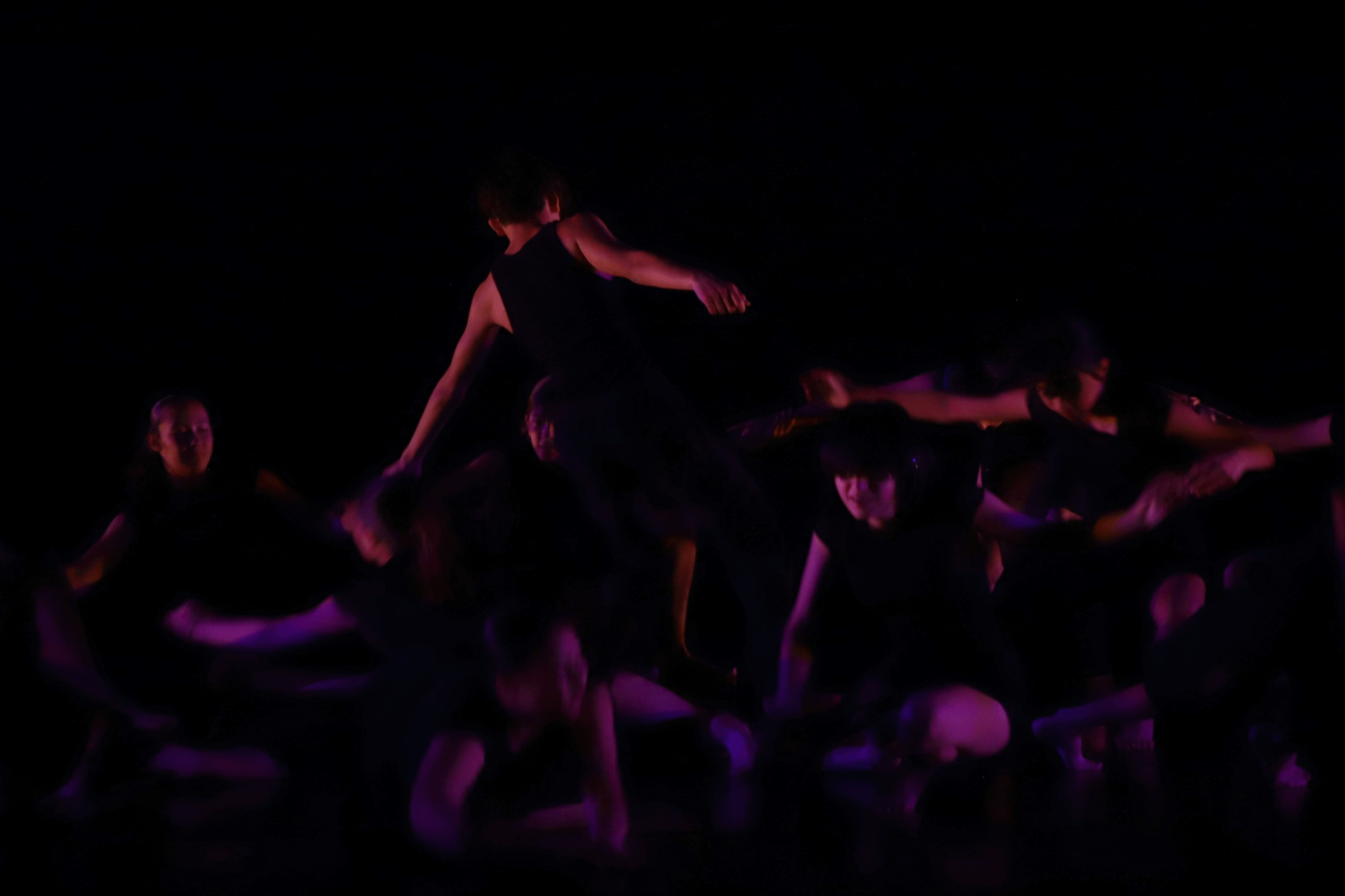 Moving Voices: A Stunning Fall Dance Concert