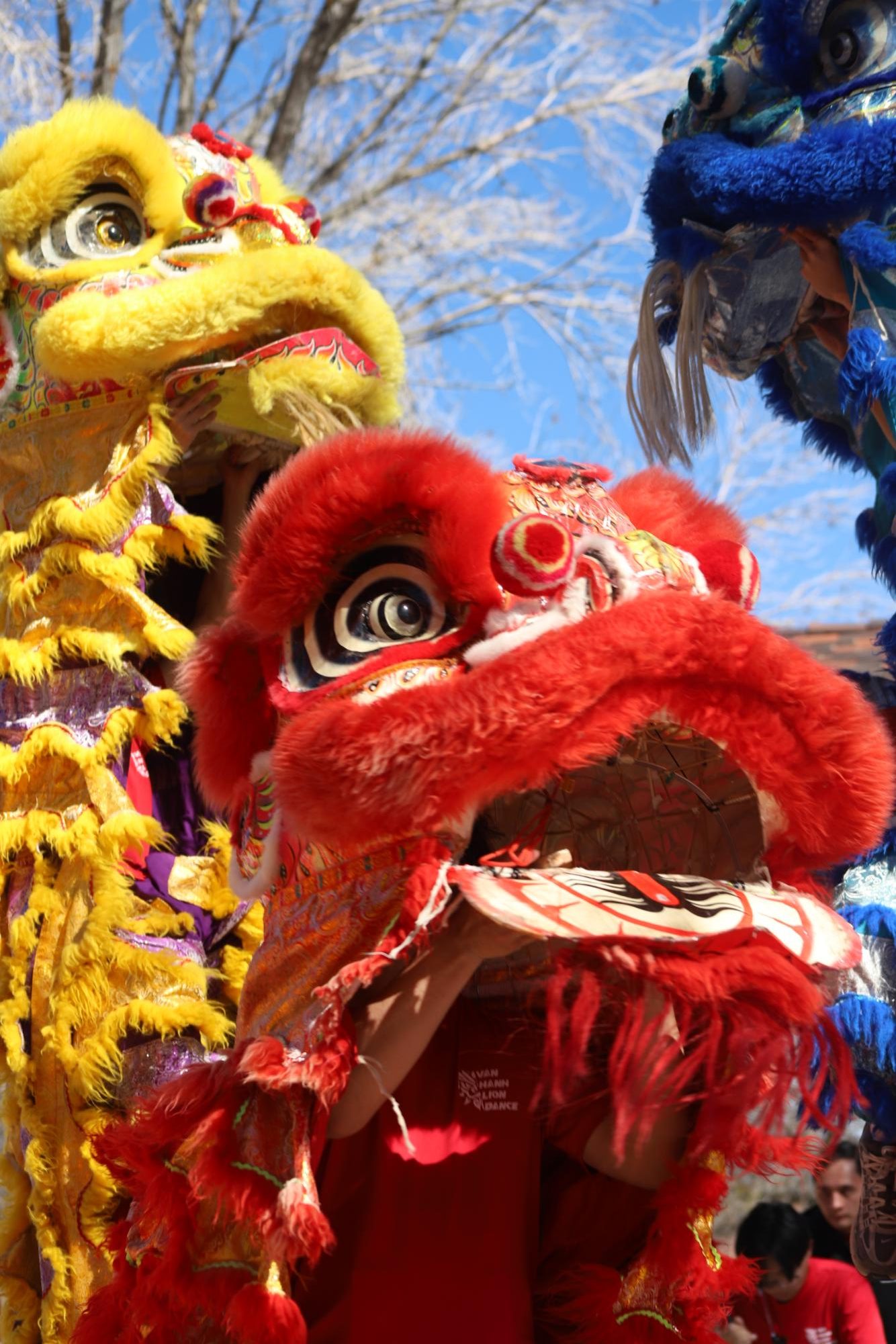 Lucky Lions and a Dragon
